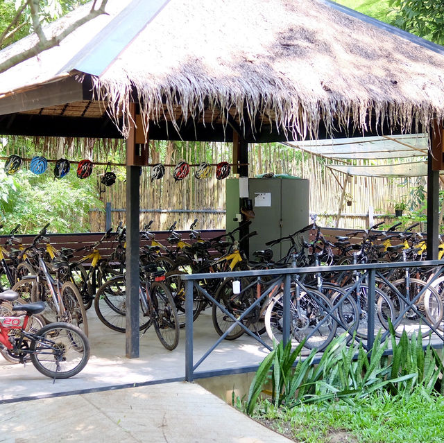 Hintok River Camp at Hellfire Pass 