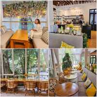 🌼🌞 Ryoku.cafe 