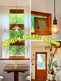 💥 Molley Coffee Stand เต็มไปด้วยเสน่ห์ที่น่าค้นหา