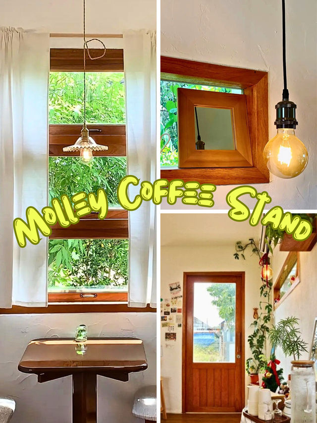 💥 Molley Coffee Stand เต็มไปด้วยเสน่ห์ที่น่าค้นหา