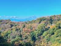 【鎌倉】まだあまり知られていない、自然を感じられる紅葉スポット