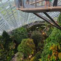 新加坡不能錯過之Garden by the bay