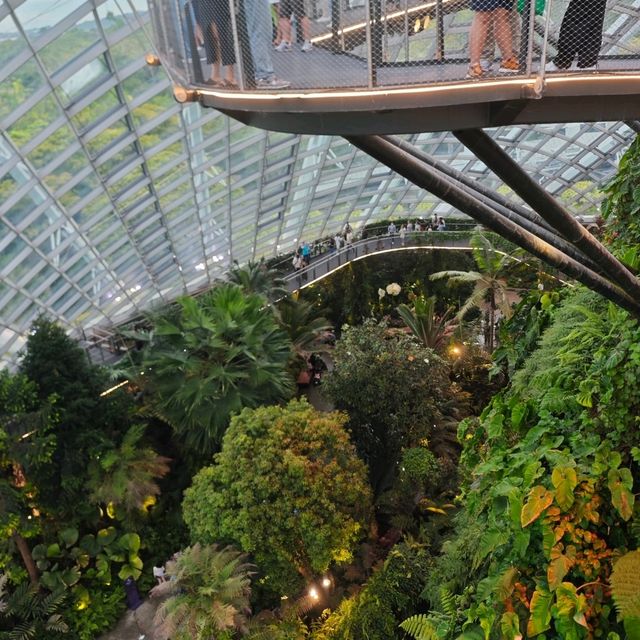 新加坡不能錯過之Garden by the bay