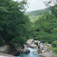 吹田山：春天花海，適合春天漫步