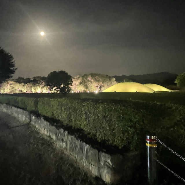 古都を満喫！慶州　東洋最古の天文台【瞻星台】昼と夜