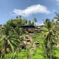 Bali's Emerald Staircase: Unveiling the Beauty of Tegalalang Rice Terraces