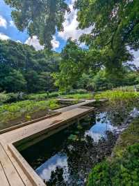 日本京都-賞花踏青的好去處：京都府立植物園