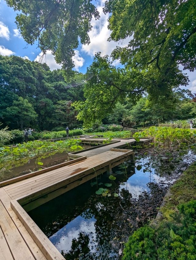 日本京都-賞花踏青的好去處：京都府立植物園