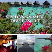 Paradise Found: Sipadan Kapalai Dive Resort Delivers!