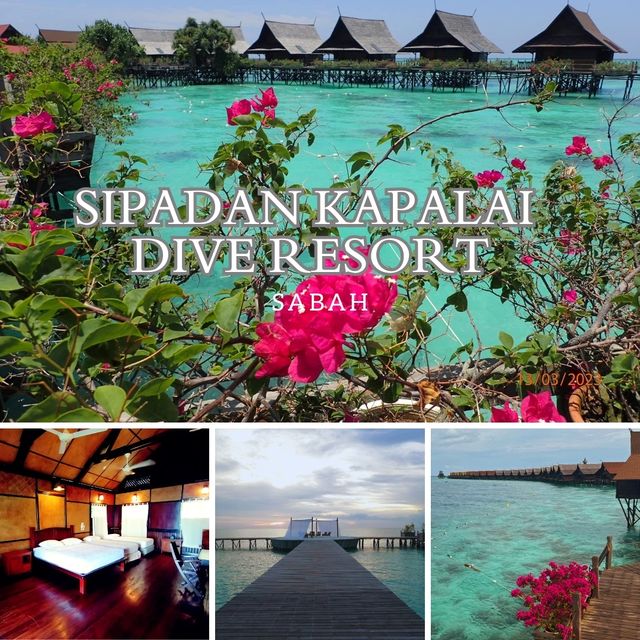 Paradise Found: Sipadan Kapalai Dive Resort Delivers!