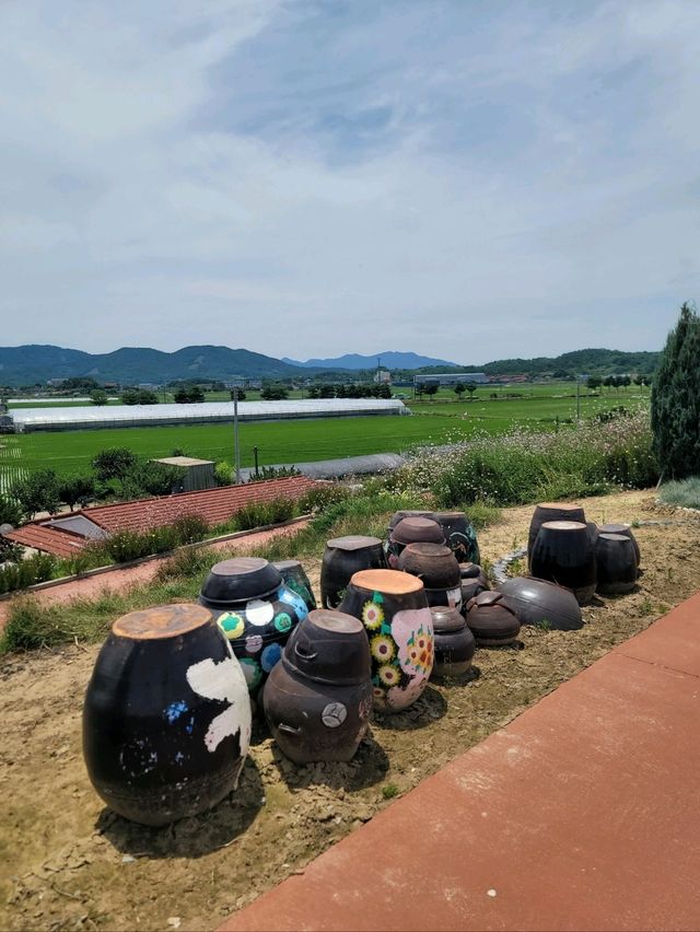 경비행기를 볼수 있는 함안 악양둑방길💚