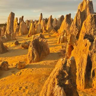 Lancelin