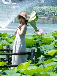 無料【穴場スポット】蓮の絶景無料スポット˚˖𓍢ִ︎✿❁﻿✧˚平池緑地公園