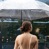 Rain Report Cafe, Seoul