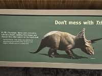 【🇺🇸芝加哥🇺🇸】Field Musuem：暴龍🦖 T Rex 體驗，難忘博物館之旅，適合帶小朋友來震撼教育一下‼️