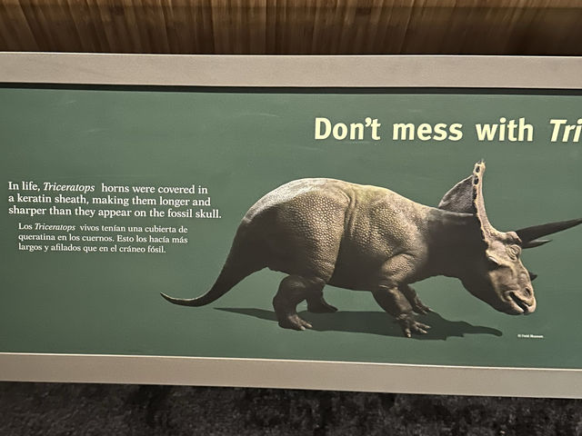 【🇺🇸芝加哥🇺🇸】Field Musuem：暴龍🦖 T Rex 體驗，難忘博物館之旅，適合帶小朋友來震撼教育一下‼️