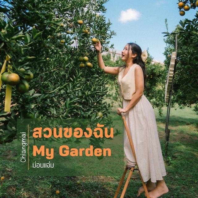 สวนของฉัน My garden 