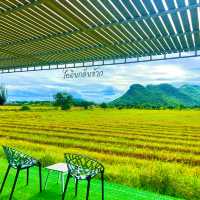 คาเฟ่วิววัดถ้ำเสือ