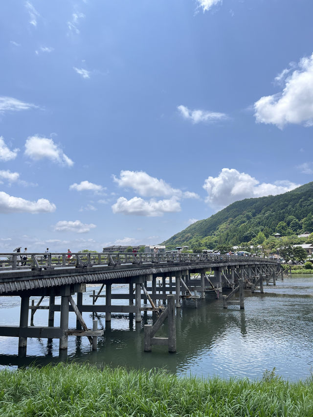 【清涼感溢れる初夏の嵐山】