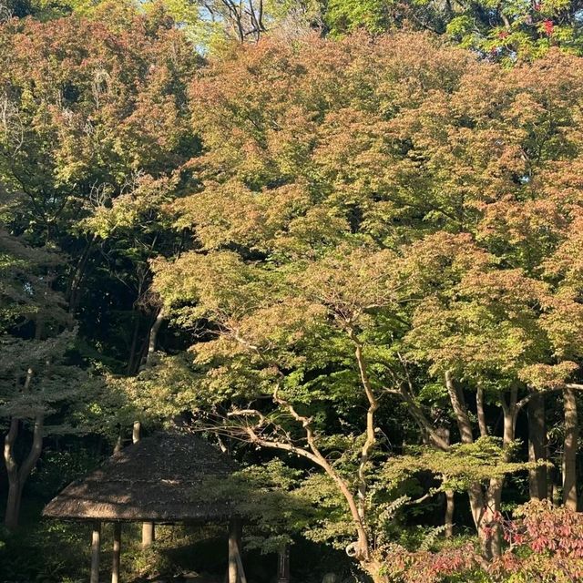 東京市中心綠洲