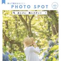 山梨県・河口湖周辺のおすすめスポット！