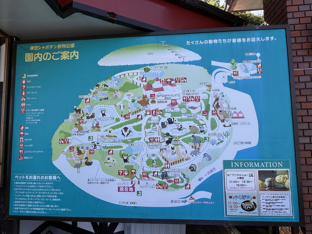 伊豆シャボテン動物公園@伊豆🐏
