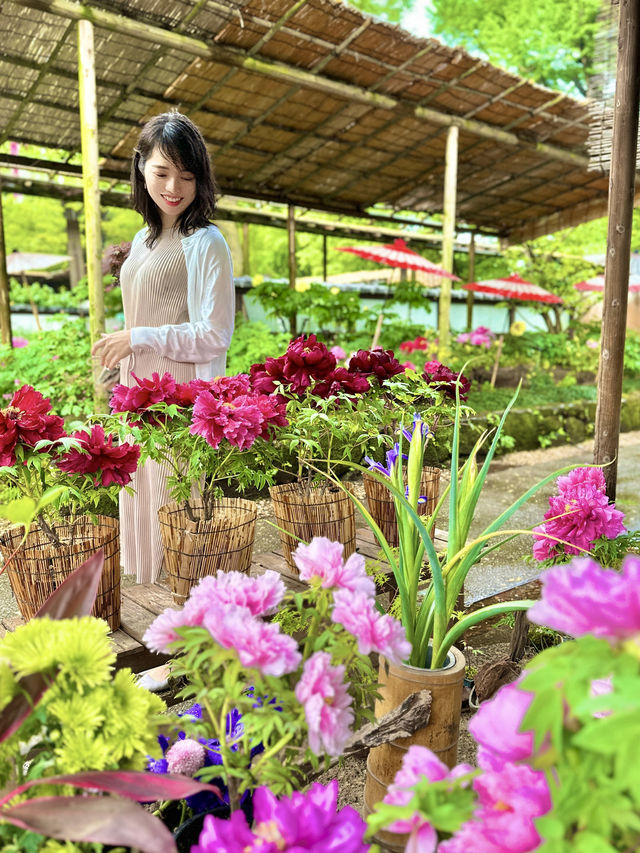 〜東京都〜東京穴場お花見スポット🌸
