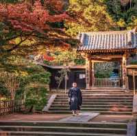 【円覚寺】北鎌倉