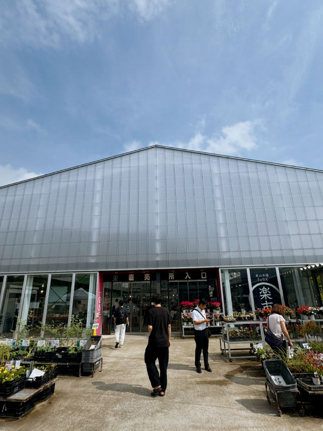 泊まれる小学校？！エモすぎる道の駅🤩🏫🌱【千葉】