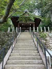 節分祭が有名！京大近くにある吉田神社⛩️
