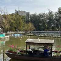 Charming Discoveries in Kunming