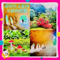 种草深圳水土保持科技示範園啦😄