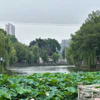 泉湖公園：詩意水榭