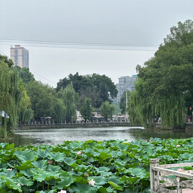 泉湖公園：詩意水榭