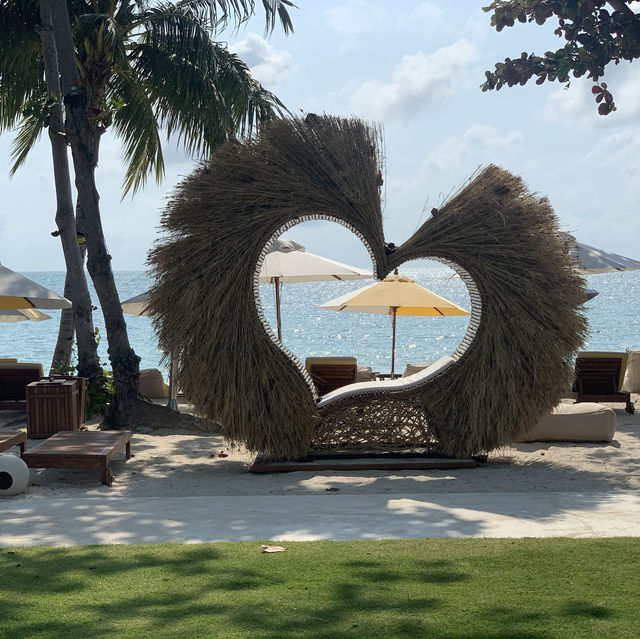 "Luxury by the Sea: A Retreat at Sala Samui"