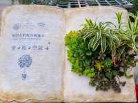 【苗栗】浪漫玫瑰花園，適合情侶家庭朋友賞花遊玩