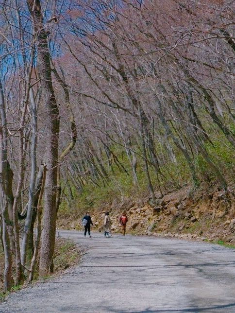 순천의 아름다운 자연을 느낄 수 있는 선암사