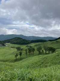 兵庫　夏がオススメ！砥峰高原🌳