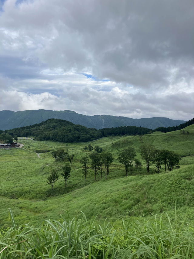 兵庫　夏がオススメ！砥峰高原🌳