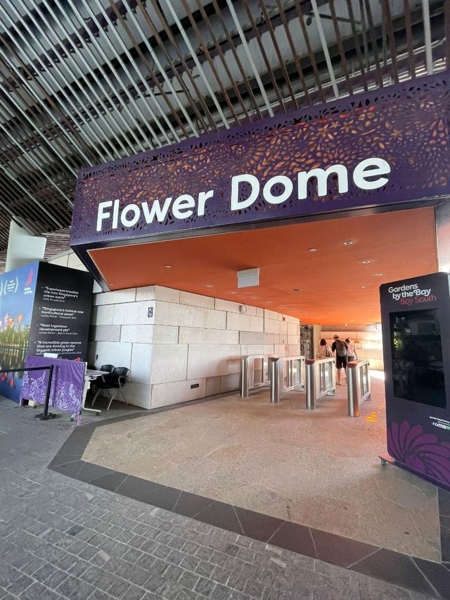 🇸🇬Flower Dome Singapore 