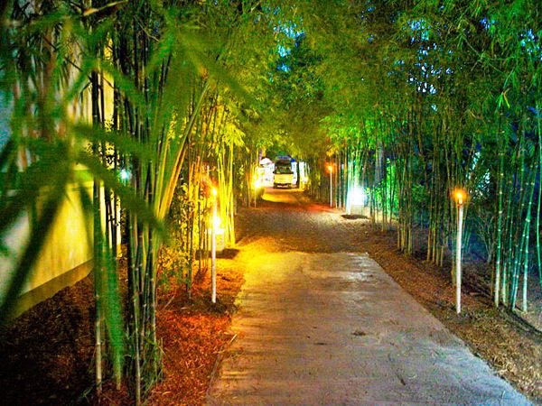 Lime n Soda Beachfront Resort