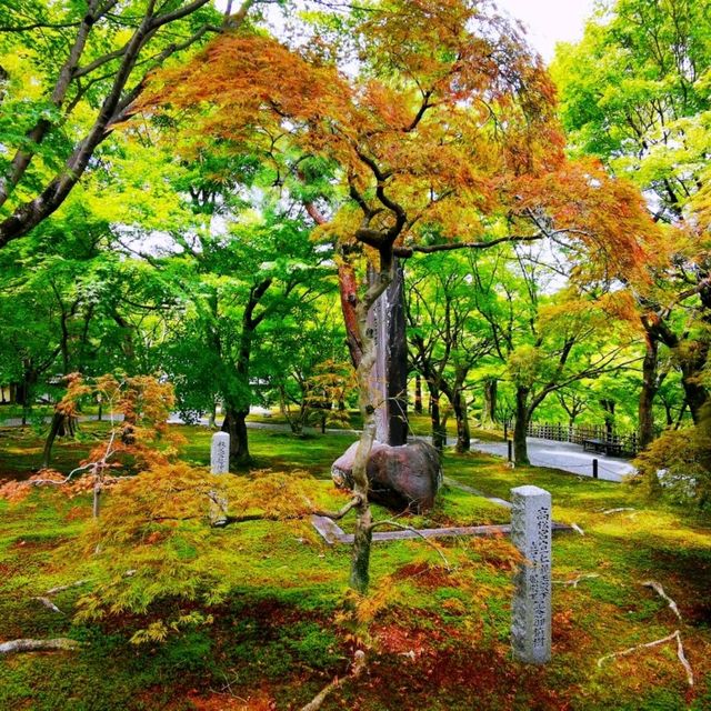 東福寺