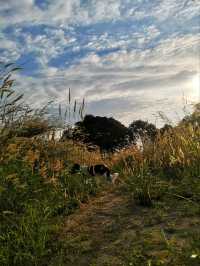 ตะลุยเทรล 6 กิโลเมตร ที่ Wisdom Valley