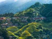Spectacular views of rice terraces