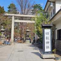 守護松本商店街的神秘存在〔四柱神社〕