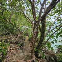 เกาะยอ ธนาคารปู ชุมพร