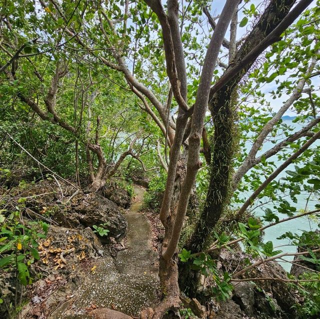 เกาะยอ ธนาคารปู ชุมพร