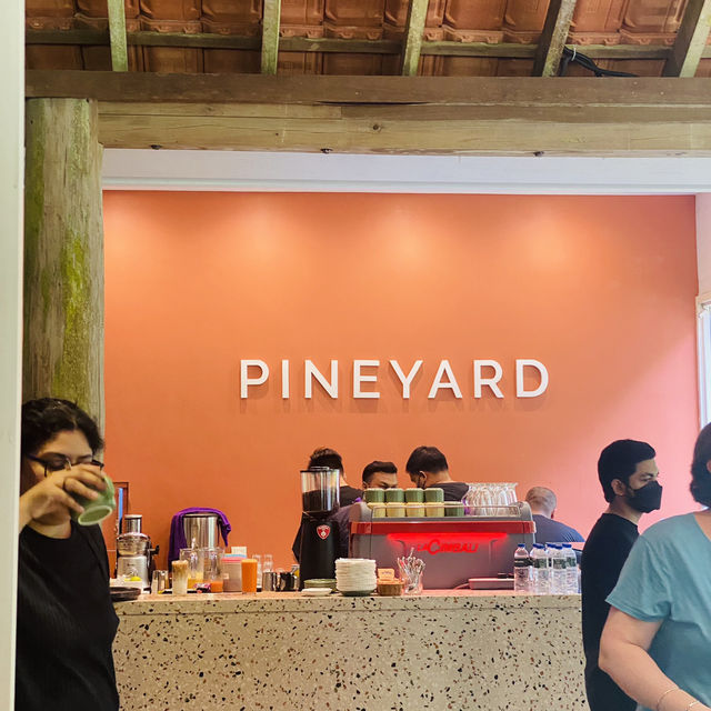 Pineyard Cafe in the Forest 🌳 Janda Baik 🇲🇾