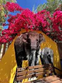 Nice modern zoo