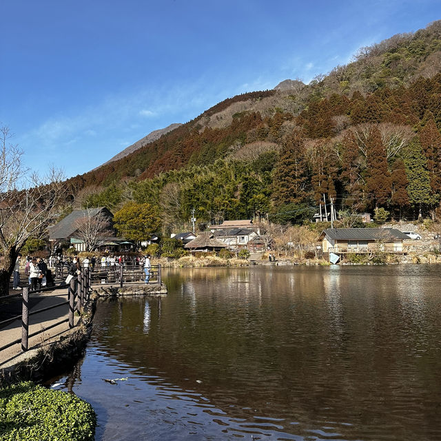아름다운 유후인의 레이크 뷰 긴린코호수⛲️